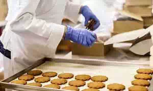 Food manufacturers
